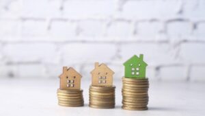 בדיקת תיק ביטוחי